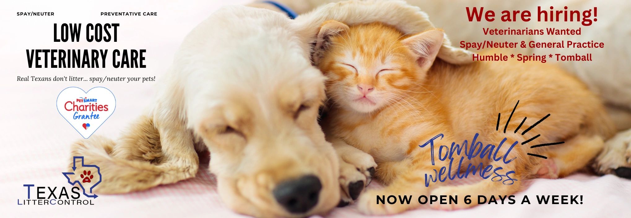 Texas Litter Control Low Cost Veterinarian, Vaccinations